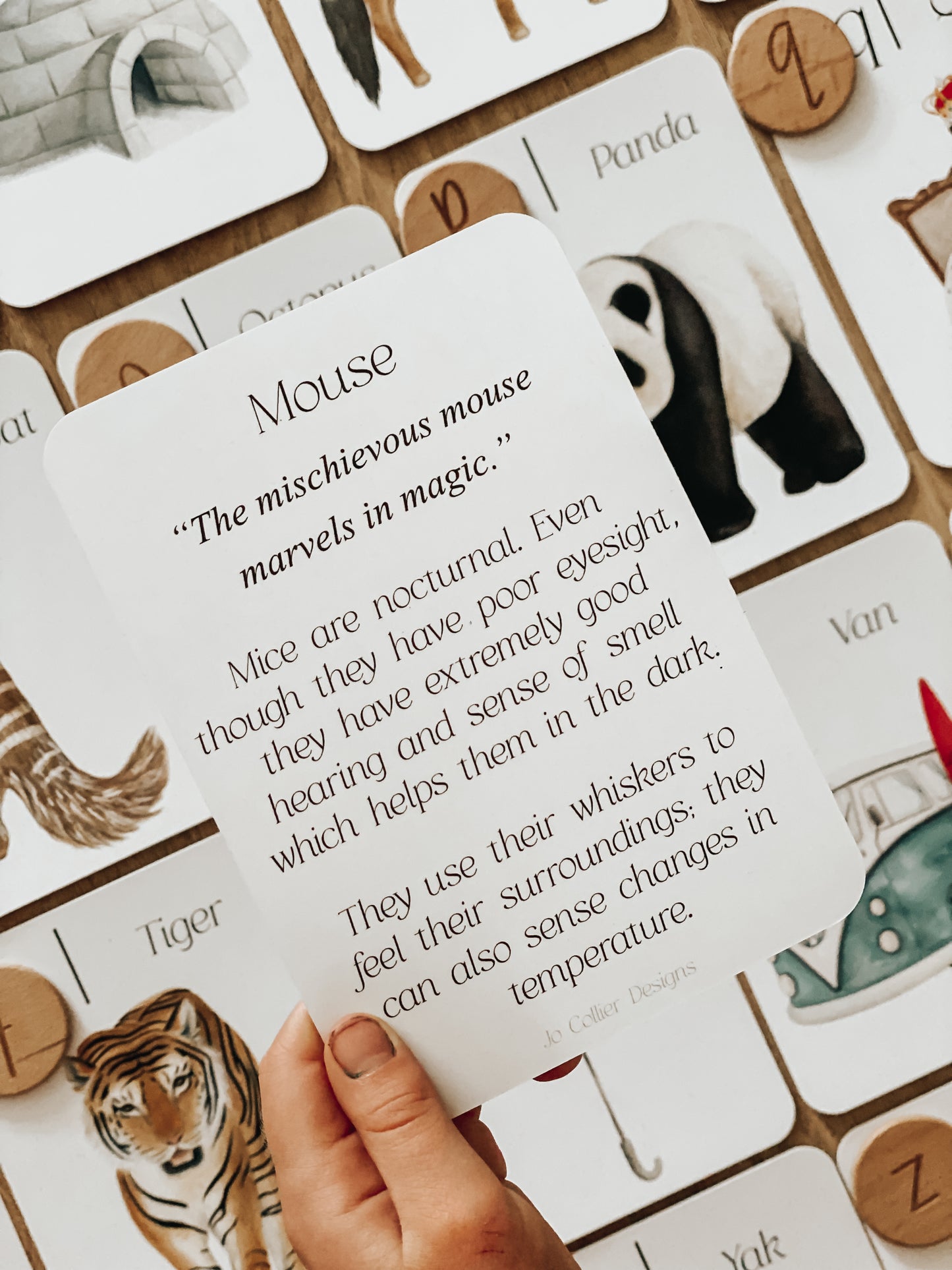 Jo Collier Designs | Around the World Phonics and Sounds Flash Cards