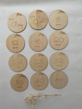 Pregnancy Milestone Plaques - 6 piece set